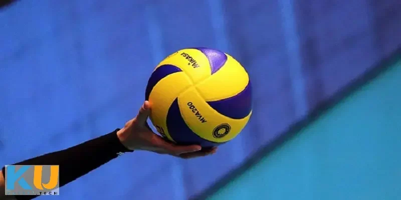 Vì sao cá cược bóng chuyền được yêu thích